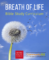 Breath of Life Bible Study Curriculum
