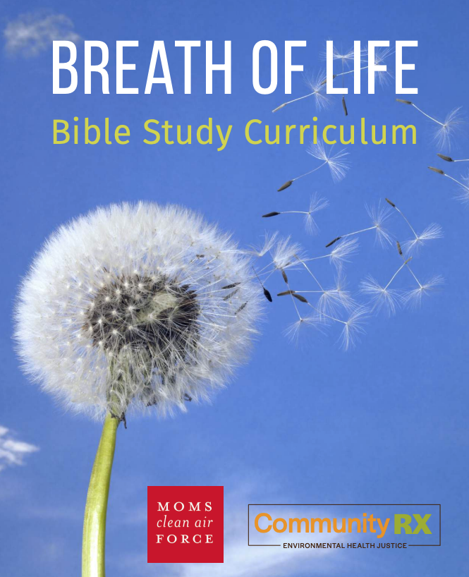 Read more about the article Breath of Life Bible Study Curriculum