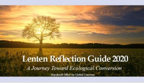 Read more about the article Ecological Reflections for Lent