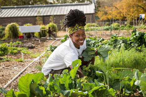 Read more about the article Farmers of Color Partner with Faith Communities in CSAs