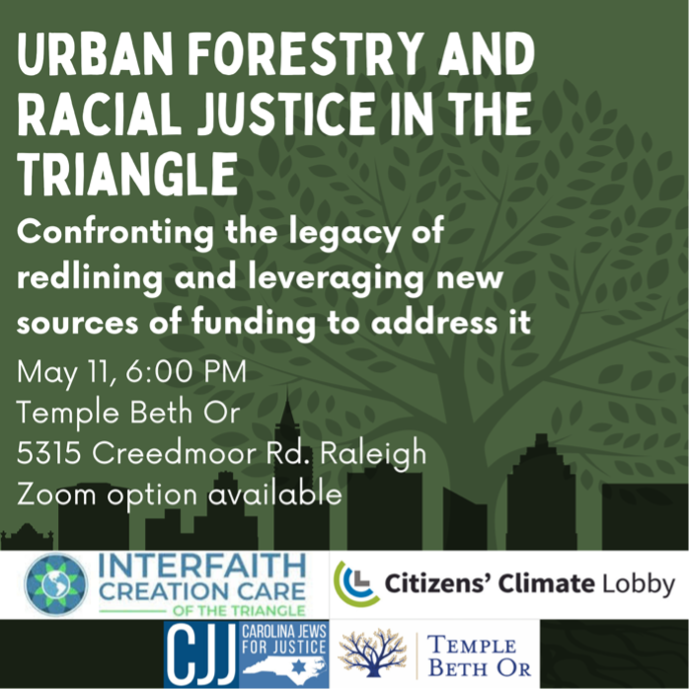 Read more about the article Urban Forestry and Racial Justice