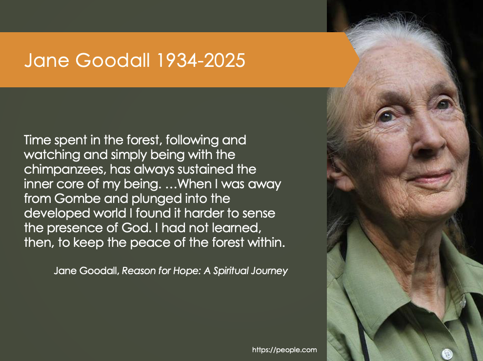 Read more about the article October 12, 2025