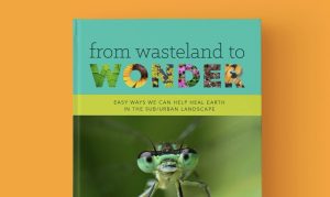 Partial view of book cover: “from wasteland to WONDER”, with close-up view of an insect face