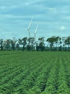 electric windmills in background with farmland in the foreground