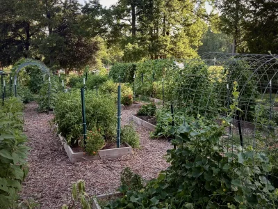 Selah Community Garden; Center United Methodist Church; Sanford, NC
